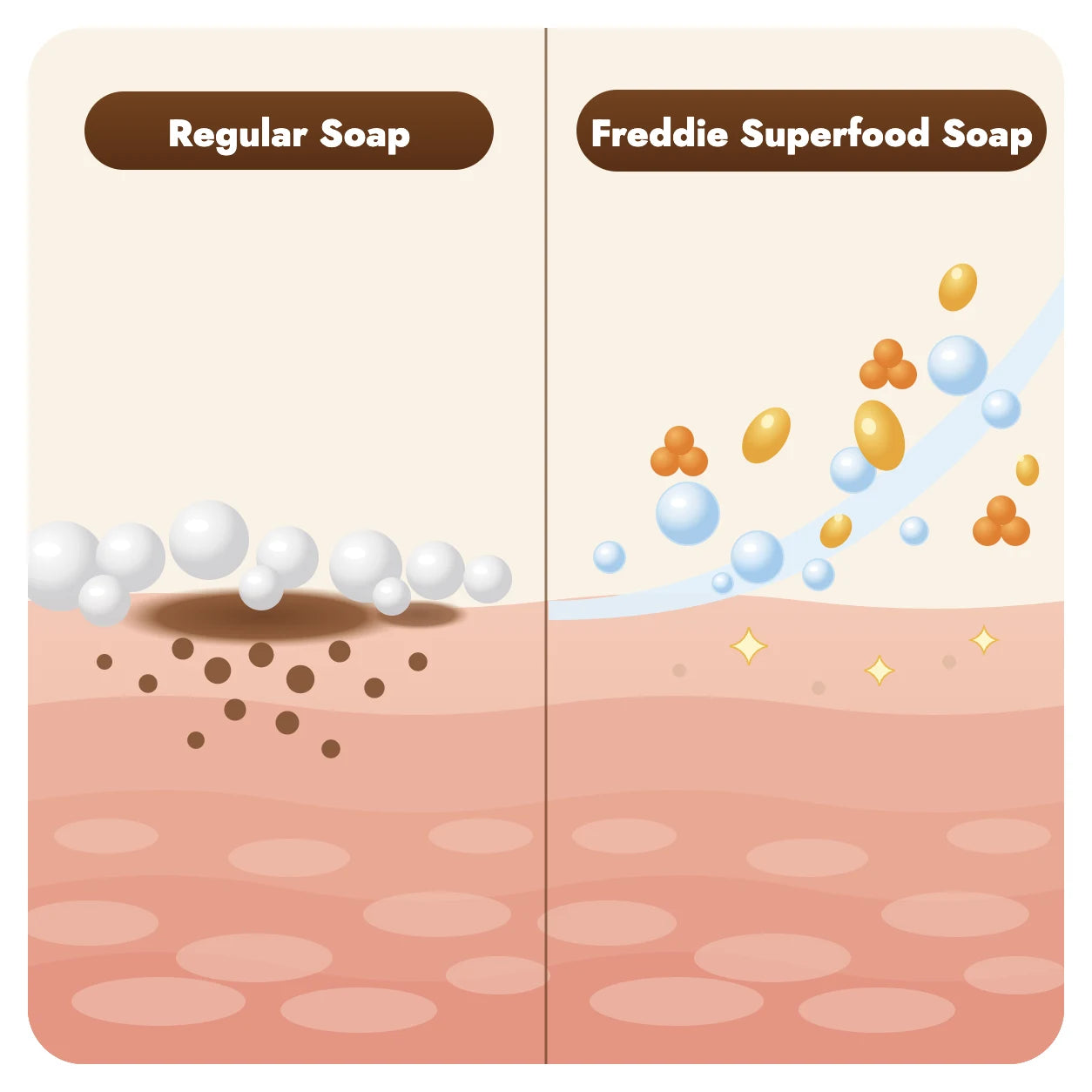Cross-section of skin comparing regular soap, which leaves dark-spot pigment untouched, with Freddie Superfood Soap, whose skin-care ingredients help brighten the look of skin